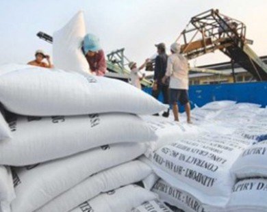 Xuất khẩu 312 ngàn tấn gạo trong tháng đầu năm