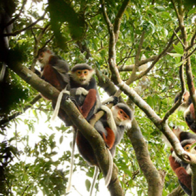 Cô gái "top 10" nhà bảo tồn trẻ xuất sắc nhất thế giới