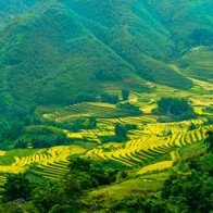 Sa Pa được lựa chọn là điểm đến hấp dẫn nhất 2015