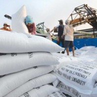 Xuất khẩu 312 ngàn tấn gạo trong tháng đầu năm