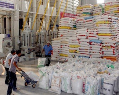 Đồng bằng sông Cửu Long xuất khẩu 516.000 tấn gạo trong tháng 1