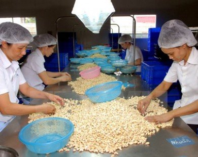 Kết nối doanh nghiệp Việt kiều để đa dạng hóa thị trường nông sản