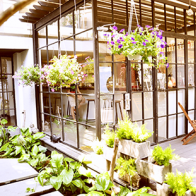 Dẫn bạn đi chơi Tết nhận ngay lì xì discount 30%