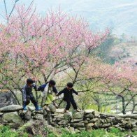 Những điểm du xuân tuyệt đẹp đầu năm