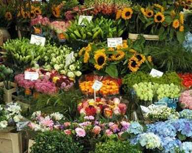 Nhộn nhịp thị trường hoa và quà tặng ngày 8-3