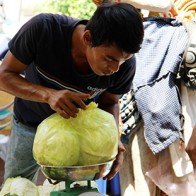 Bán 10 kg bắp cải mới mua được một tô phở bò ở miền Tây 