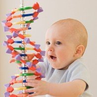 Giúp mẹ đoán chỉ số thông minh của thai nhi