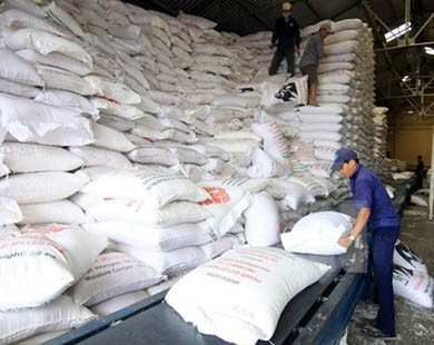 SHB dành 3.000 tỷ đồng cho vay thu mua tạm trữ thóc gạo