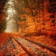 Đẹp say đắm “Con đường tình yêu” ở Ukraine