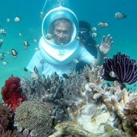 Đi Bộ Dưới Đáy Biển ở Nha Trang thu hút du khách