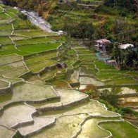Ruộng bậc thang 2.000 năm tuổi ở Philippines