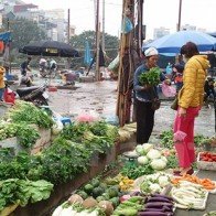 Hà Nội: Giá rau xanh tiếp tục giữ đà tăng, giá thịt cá vẫn ổn định
