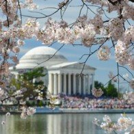 10 địa điểm ngắm hoa anh đào đẹp nhất thế giới