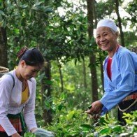 Nín thở chờ đón Top ten Du lịch Hòa Bình sắp bắt đầu