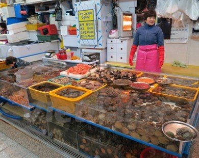 Chợ hải sản tại Busan - Điểm nhấn trong du lịch Hàn Quốc