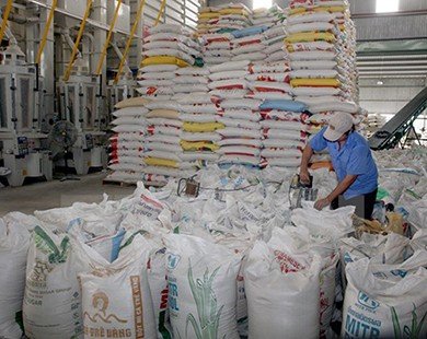 Vượt Thái Lan, Việt Nam chiếm ưu thế thị trường gạo Hong Kong