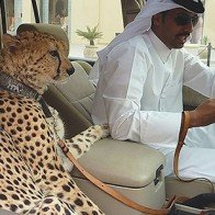 Những điều điên rồ thể hiện sự giàu có của Dubai