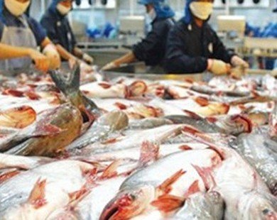 Mỹ áp đặt quy định khắt khe hơn đối với mặt hàng cá da trơn