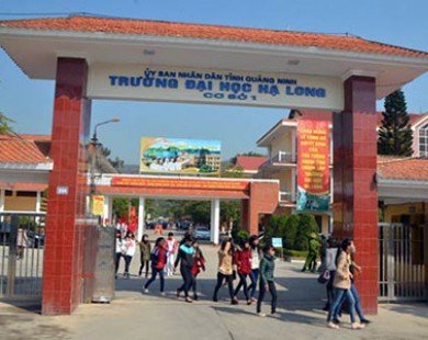 Trường Đại học Hạ Long quyết định 