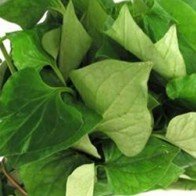 9 bài thuốc từ rau diếp cá cực hay