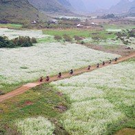 Mộc Châu: Sẽ trở thành Khu du lịch quốc gia hấp dẫn