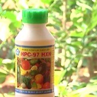 Hoa quả ngâm hóa chất làm chín siêu tốc độc như thế nào?