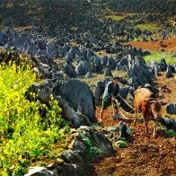 Phát hiện một hang động mới ở Cao nguyên đá Đồng Văn