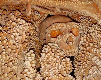 Sởn da gà với bộ xương hóa thạch lâu đời tự mọc hàng trăm 