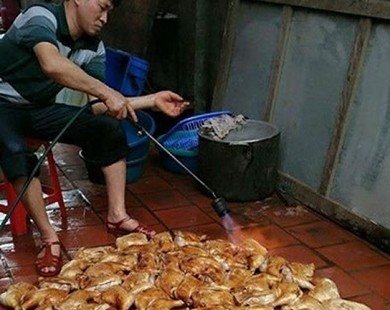 Rợn người: Đèn khò nướng trăm con gà trên nền nhà bẩn 