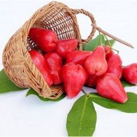 Bất ngờ với công dụng chữa bệnh thần kì của quả roi