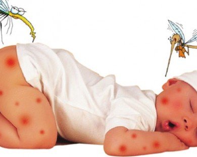 Mách mẹ cách phòng chống muỗi cho bé yêu khi hè về