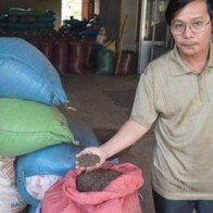 Ôm hận vì thương lái Trung Quốc