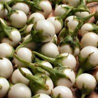 Rối loạn tiêu hóa và thần kinh do ăn cà pháo