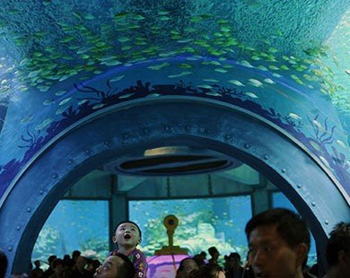 Khánh Hòa mở cửa miễn phí cho khách tham quan khu triển lãm Festival Biển