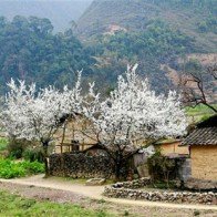 Bảo tồn kiến trúc nhà truyền thống của người Mông trên Cao nguyên đá Đồng Văn