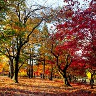 Những "thiên đường tình yêu" trong phim Tuổi thanh xuân