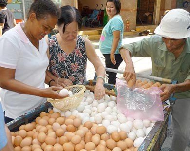 Nhiều người mua phải trứng loãng lòng nghi tồn từ Tết