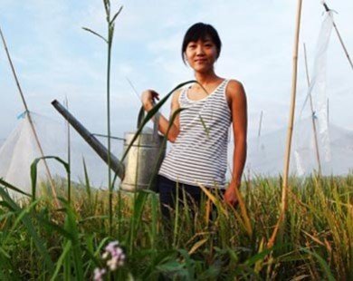 Diện tích canh tác đậu tương ở Trung Quốc có thể giảm 15%