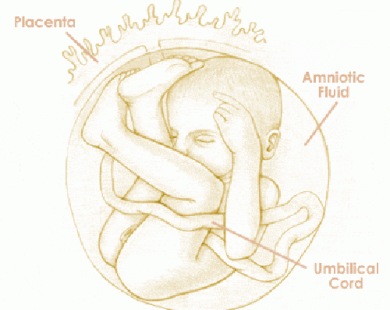 Mang thai tuần thứ 30 và sự phát triển của thai kỳ