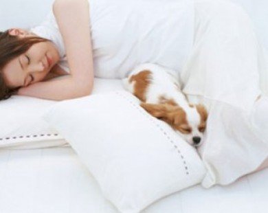 Bao lâu nên thay thế gối ngủ?