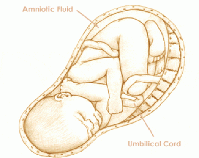 Mang thai tuần thứ 38 và sự phát triển của thai kỳ