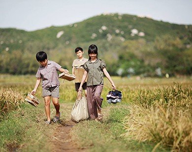 Những phim Việt chuyển thể từ tiểu thuyết gây chú ý
