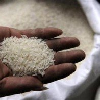 Bộ Y tế đang xác minh thông tin “gạo nhựa có mặt tại VN”