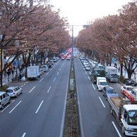 8 điều cần "thuộc lòng" trước mỗi chuyến du lịch Nhật Bản