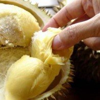 Công năng phòng ngừa bệnh nguy hiểm nhờ quả sầu riêng