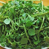 Rau cải xoong - khắc tinh của những căn bệnh nào?