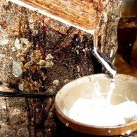 Giá một số nông sản tiếp tục sụt giảm