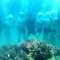 Khởi động lại sản phẩm đi bộ dưới biển tại Hòn Tằm