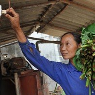 Tìm cách tiết kiệm điện giữa mùa hè