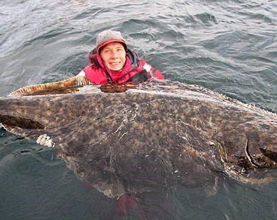 Người đàn ông bất ngờ câu được con cá bơn khổng lồ dài hơn 2m